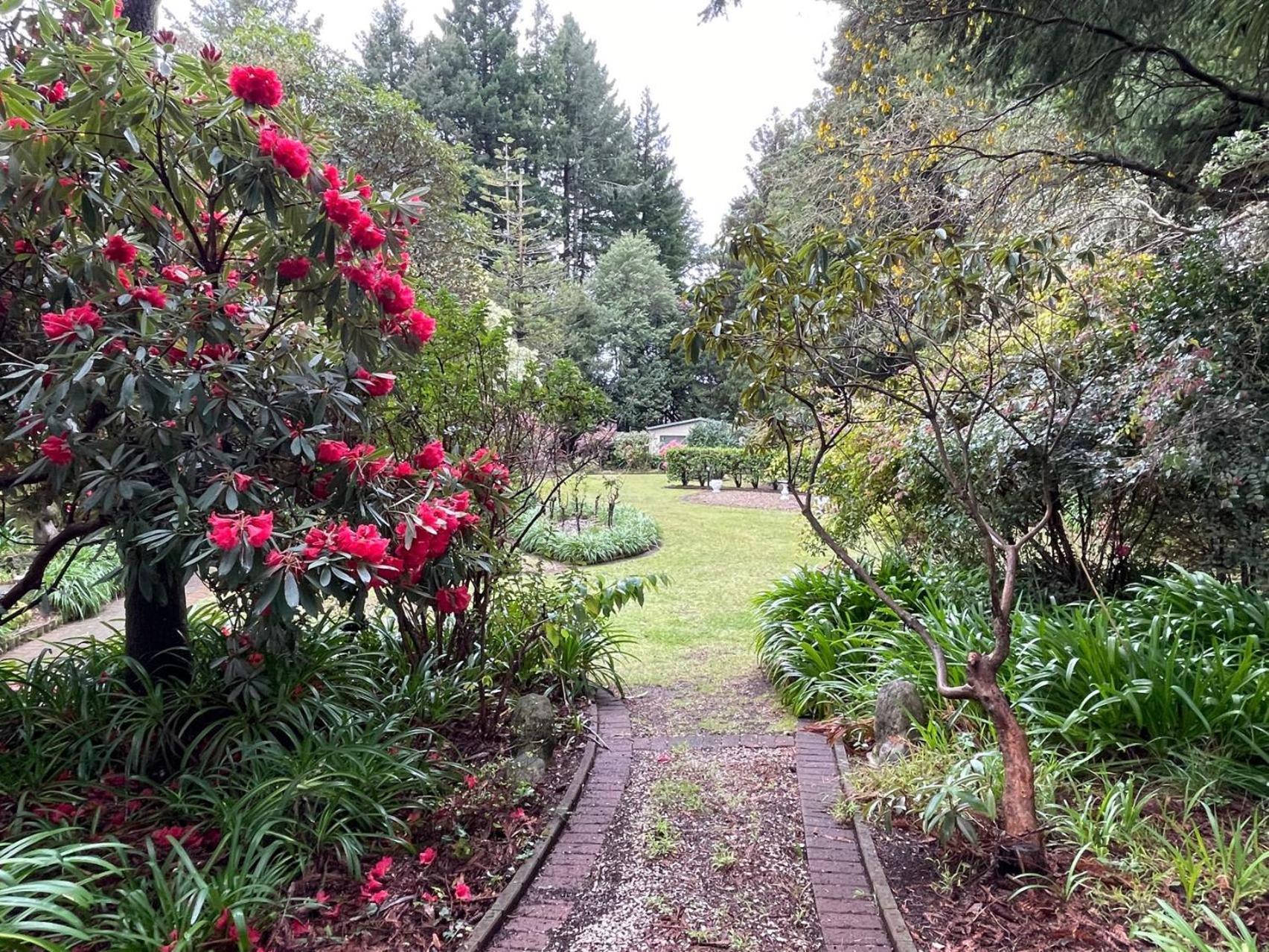 Garden Paradise In Rotorua With Pool Exterior foto